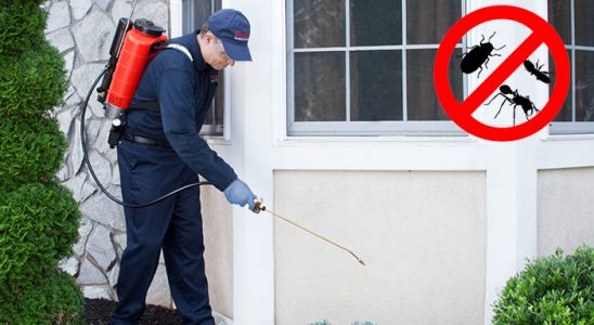 Palandöken Dezenfeksiyon böcek ilaçlama ve haşere kontrolü — ilaclama-tr.com
